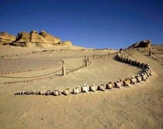 Two day trip to fayoum oasis and wadi el Hitan from Cairo — photo 2