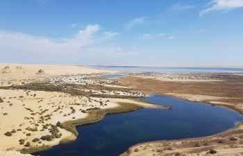 Two day trip to fayoum oasis and wadi el Hitan from Cairo — photo 3
