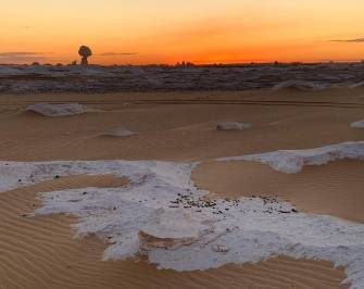 Two days tour to Bahariya Oasis and white desert from Cairo