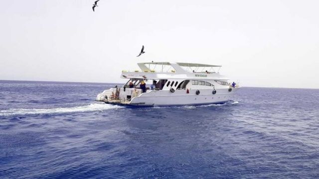 Utopia island Snorkeling tour from Sahel Hashesh — photo 3