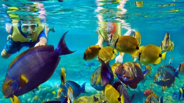 Utopia island Snorkeling tour from Sahel Hashesh — photo 8