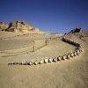 Wadi Al Hitan day trip from Cairo — photo 2