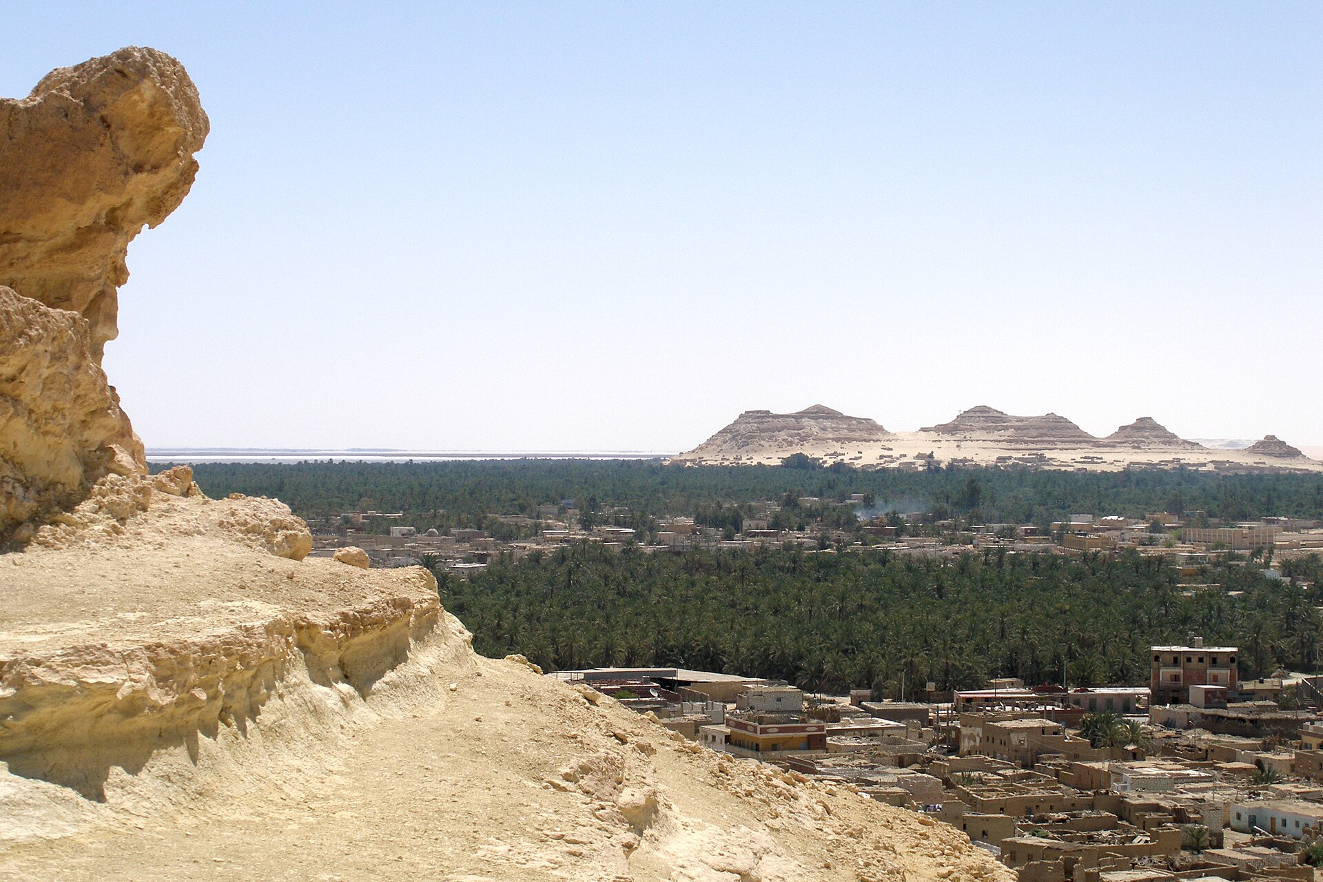 Wadi El Gemal Excursions in Marsa Alam — photo 5